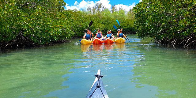 Kayaking trip dambre island half (5)
